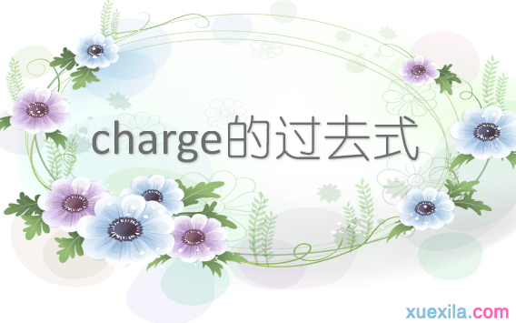 charge的过去式和用法例句