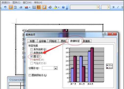 在word2007中制作柱形数据图的方法