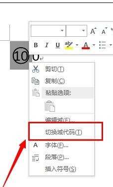 word2013中如何输入带圈100