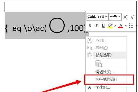 word2013中如何输入带圈100