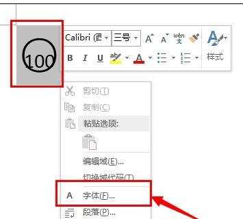 word2013中如何输入带圈100