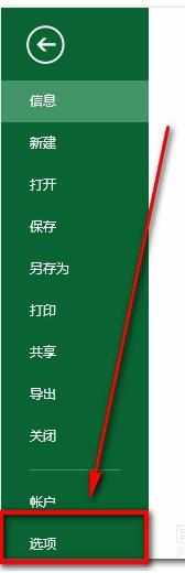 excel2013调出开发工具箱的教程