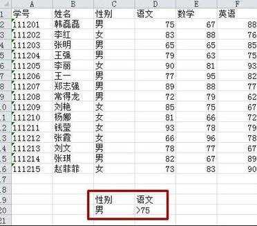 excel2010表格高级筛选教程