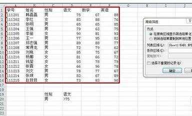 excel2010表格高级筛选教程