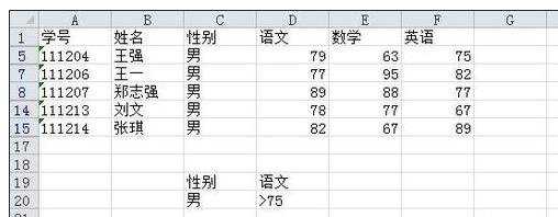 excel2010表格高级筛选教程