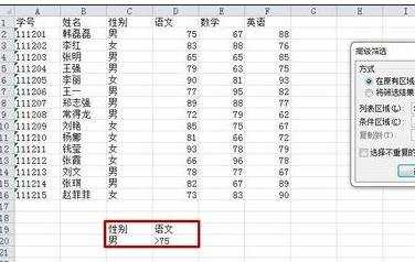 excel2010表格高级筛选教程