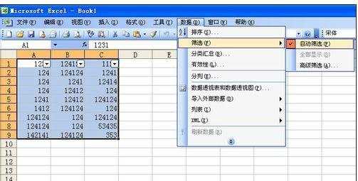 excel03有关筛选的教程