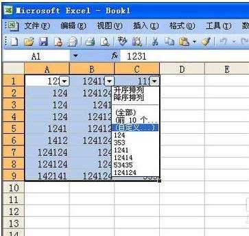 excel03有关筛选的教程