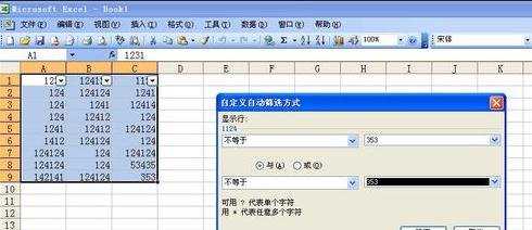 excel03有关筛选的教程