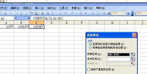 excel03有关筛选的教程