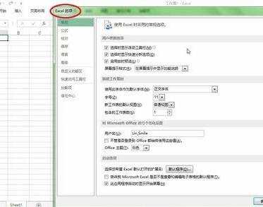 excel2013设置宏安全性的方法