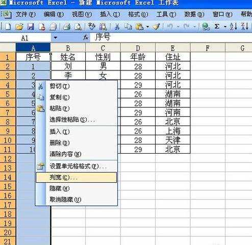 excel2003调整列宽的教程