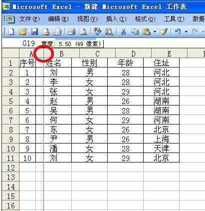 excel2003调整列宽的教程