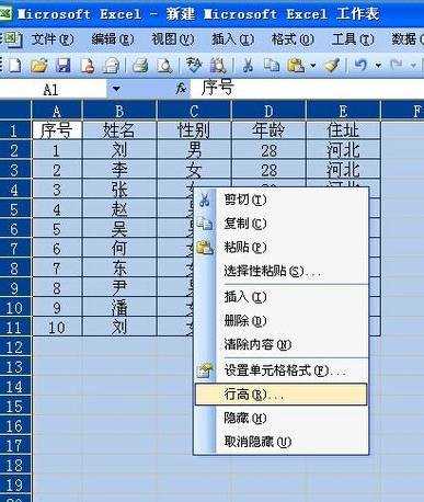 excel2003调整列宽的教程