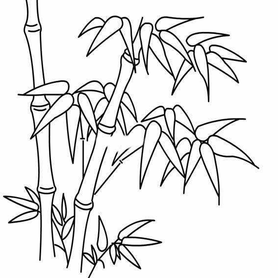 如何画竹子的简笔画