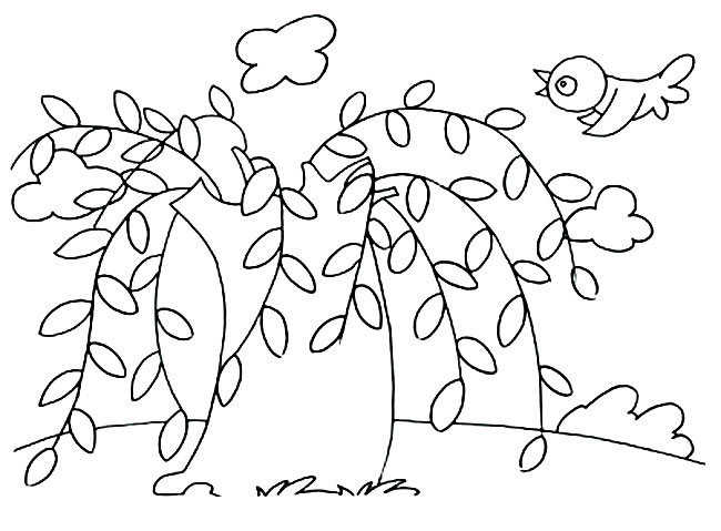 春天柳树简笔画图1
