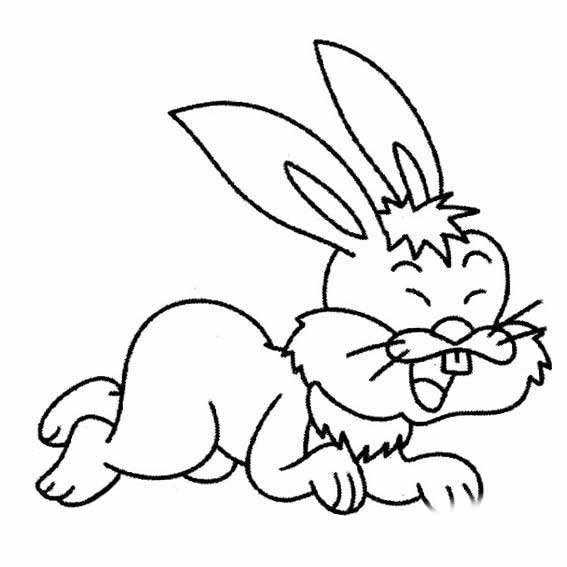 各种简笔画兔子的画法