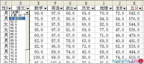 excel03自动筛选功能的使用方法