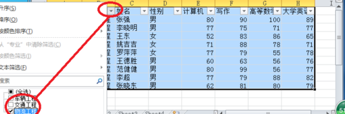 excel2010使用自动筛选功能的教程