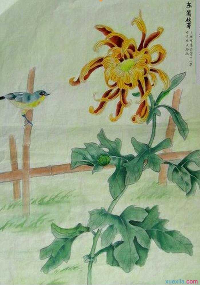 国画菊花图片