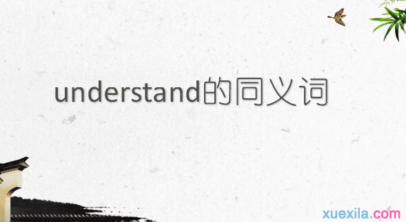 understand的同义词辨析