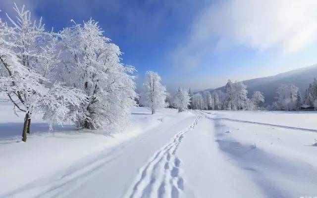 大雪节气养生祝福短信