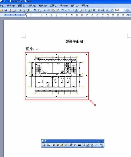 怎么把CAD图形导入进WORD