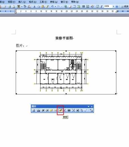 怎么把CAD图形导入进WORD