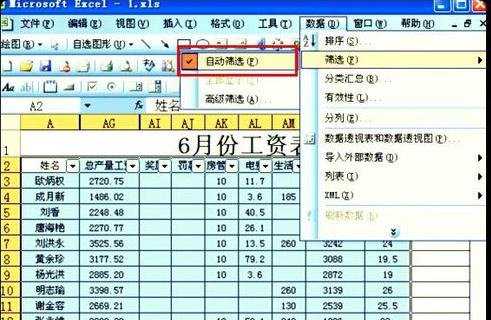 excel2003筛选后排序的教程