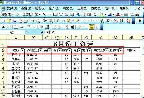 excel2003筛选后排序的教程