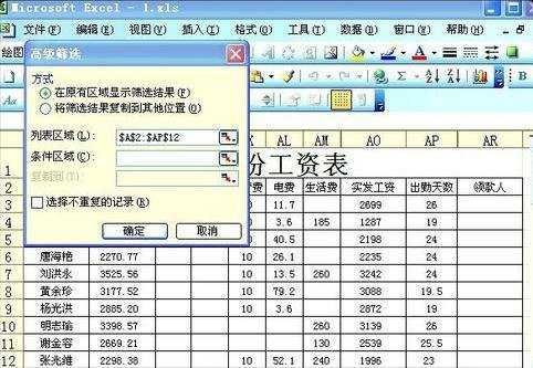 excel2003筛选后排序的教程