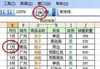 excel2007自动筛选的使用教程