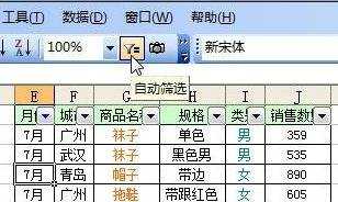 excel2007自动筛选的使用教程