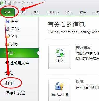 excel2010预览功能的使用教程