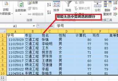 excel2010使用自动筛选功能的教程