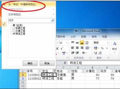 excel2010使用自动筛选功能的教程