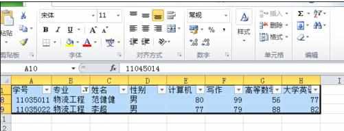 excel2010使用自动筛选功能的教程