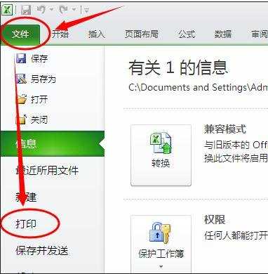 excel2010预览功能的使用方法