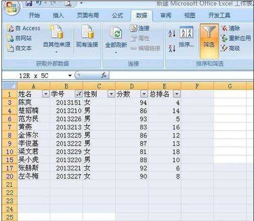 excel2010自动筛选功能的用法