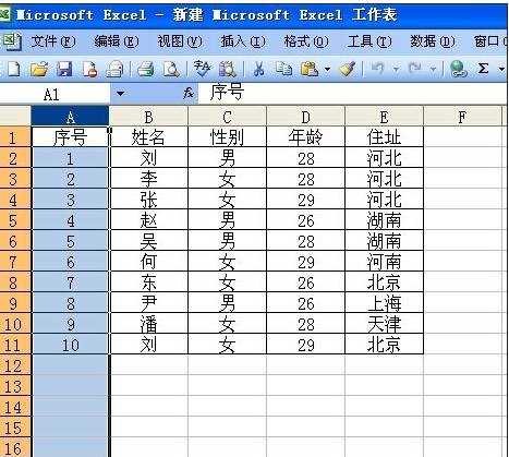 excel2003调整最合适列宽的教程