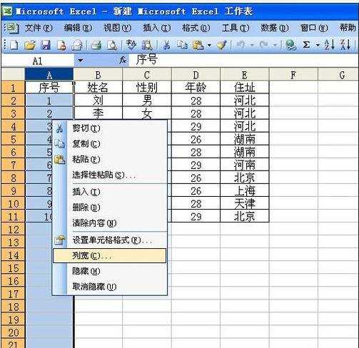 excel2003调整最合适列宽的教程