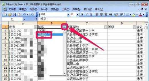 excel2003数据筛选的使用教程