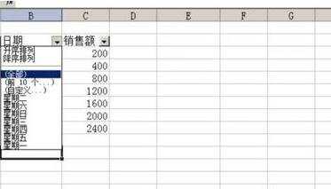 excel2003根据日期筛选的教程