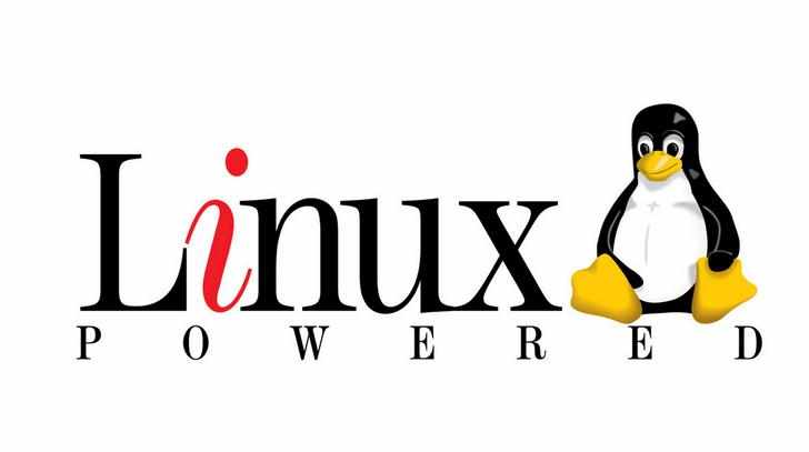 linux怎么查看服务器硬件信息