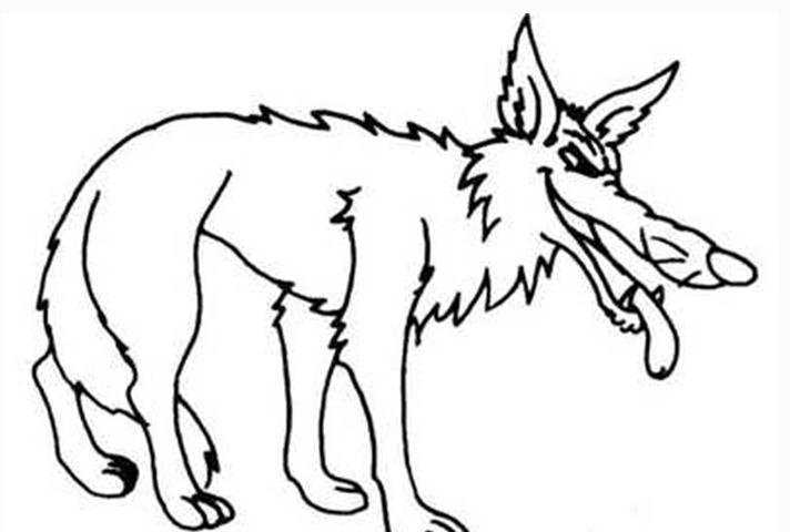 兴趣爱好 学画画 简笔画 狼在我们的认知里,是一种狡猾的动物