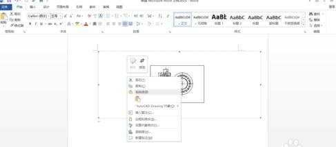 如何将cad图形导入word中