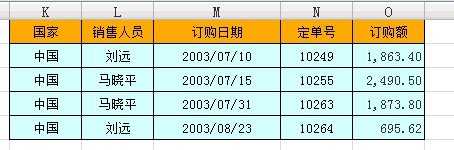 excel字段文本多条件筛选的方法