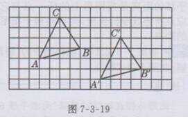 7年级下册数学习题7答案