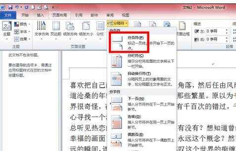 word2010插入分节符的两种方法