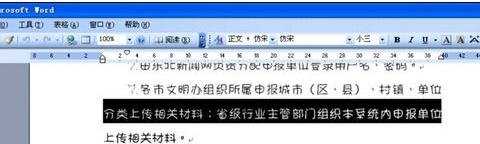 怎么解决word字体显示不正常